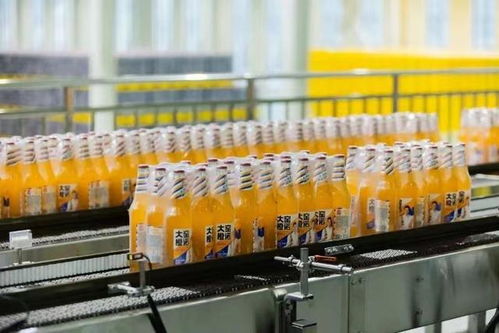 供應(yīng)鏈支撐,大窯飲品劍指全國市場(chǎng)