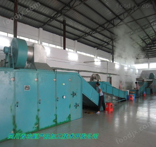 高良姜烘干機與電熔鎂生產(chǎn) 良姜快速干燥的關(guān)鍵設(shè)備